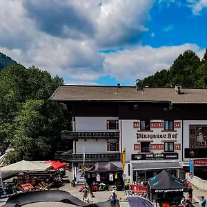 Pinzgauerhof By Skinetworks Saalbach-Hinterglemm